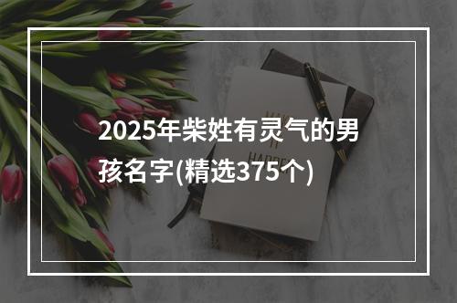 2025年柴姓有灵气的男孩名字(精选375个)