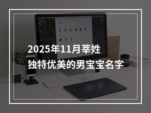 2025年11月莘姓独特优美的男宝宝名字