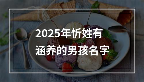 2025年忻姓有涵养的男孩名字