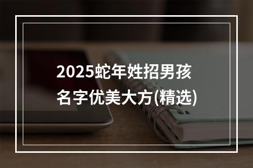 2025蛇年姓招男孩名字优美大方(精选)