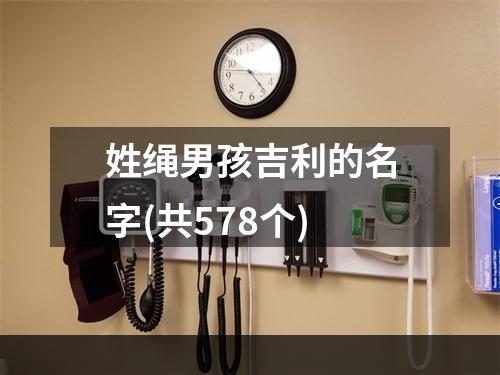 姓绳男孩吉利的名字(共578个)