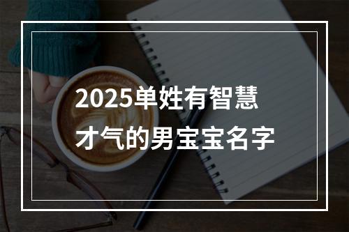 2025单姓有智慧才气的男宝宝名字