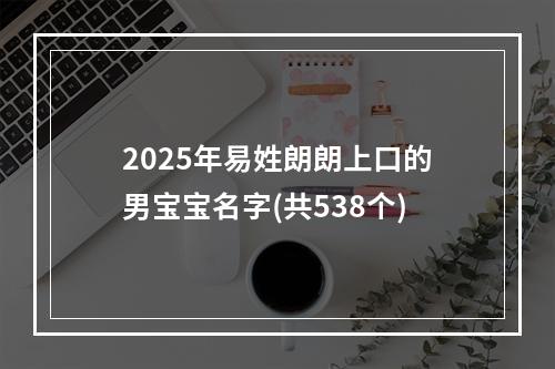 2025年易姓朗朗上口的男宝宝名字(共538个)