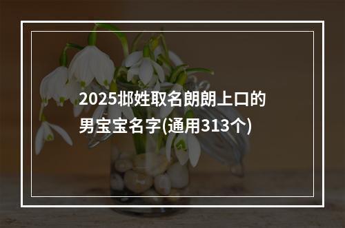 2025邶姓取名朗朗上口的男宝宝名字(通用313个)