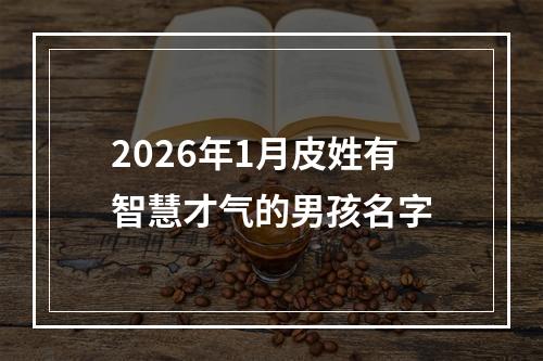 2026年1月皮姓有智慧才气的男孩名字