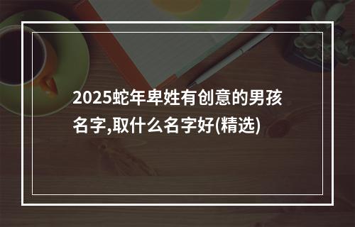 2025蛇年卑姓有创意的男孩名字,取什么名字好(精选)