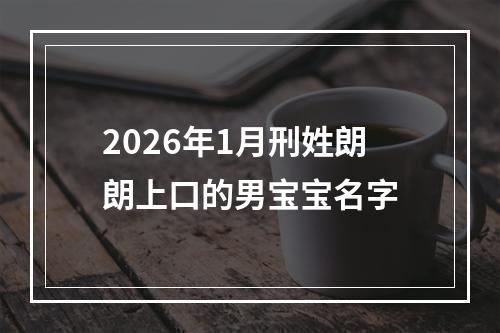 2026年1月刑姓朗朗上口的男宝宝名字