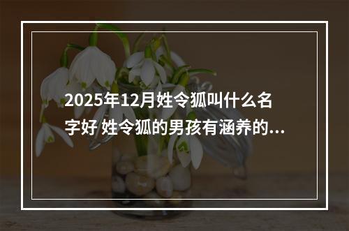 2025年12月姓令狐叫什么名字好 姓令狐的男孩有涵养的名字