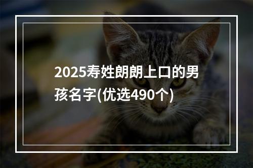 2025寿姓朗朗上口的男孩名字(优选490个)
