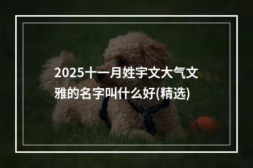 2025十一月姓宇文大气文雅的名字叫什么好(精选)