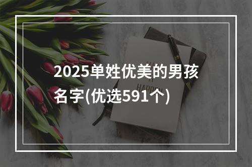 2025单姓优美的男孩名字(优选591个)