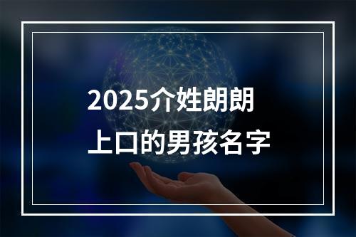 2025介姓朗朗上口的男孩名字