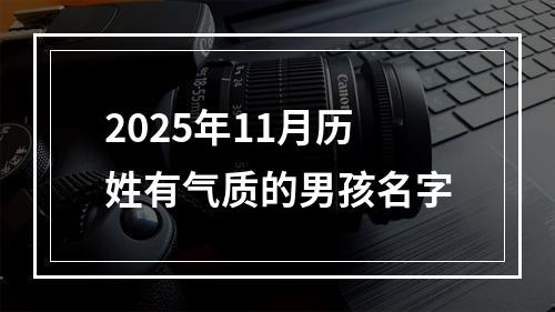 2025年11月历姓有气质的男孩名字