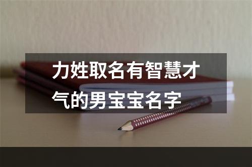 力姓取名有智慧才气的男宝宝名字