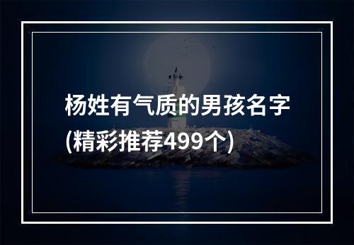杨姓有气质的男孩名字(精彩推荐499个)
