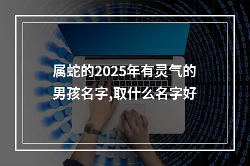 属蛇的2025年有灵气的男孩名字,取什么名字好