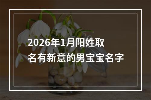 2026年1月阳姓取名有新意的男宝宝名字