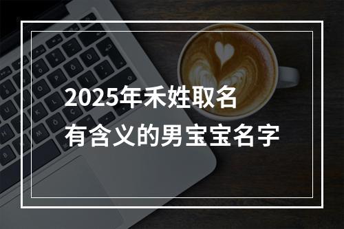 2025年禾姓取名有含义的男宝宝名字