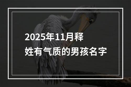 2025年11月释姓有气质的男孩名字