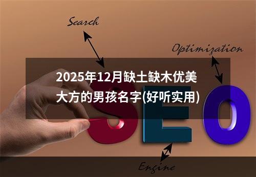 2025年12月缺土缺木优美大方的男孩名字(好听实用)