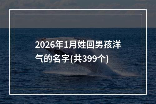 2026年1月姓回男孩洋气的名字(共399个)