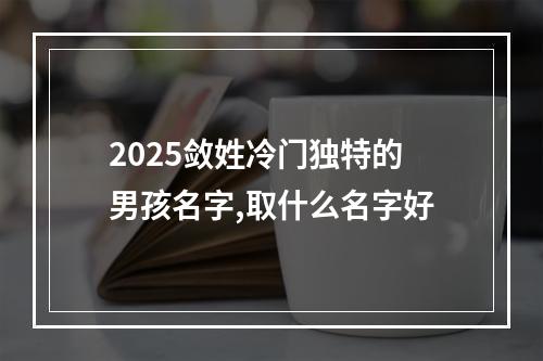 2025敛姓冷门独特的男孩名字,取什么名字好
