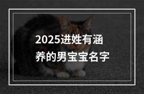 2025进姓有涵养的男宝宝名字