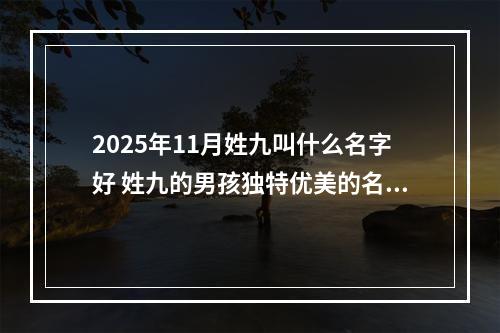 2025年11月姓九叫什么名字好 姓九的男孩独特优美的名字