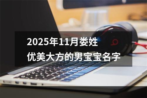 2025年11月娄姓优美大方的男宝宝名字