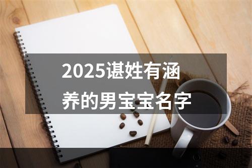 2025谌姓有涵养的男宝宝名字
