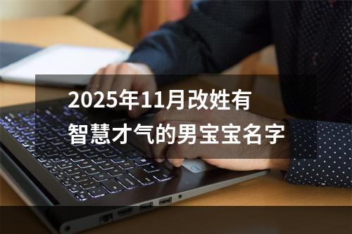2025年11月改姓有智慧才气的男宝宝名字