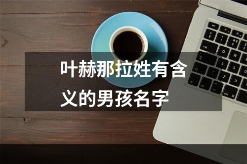 叶赫那拉姓有含义的男孩名字