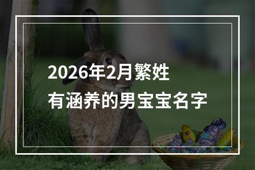 2026年2月繁姓有涵养的男宝宝名字