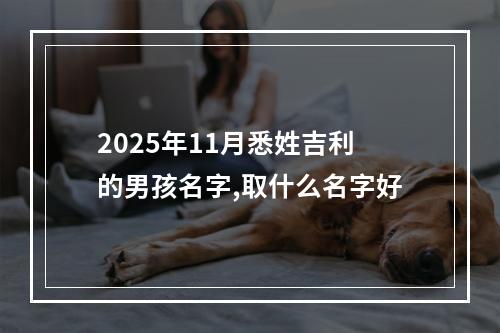 2025年11月悉姓吉利的男孩名字,取什么名字好