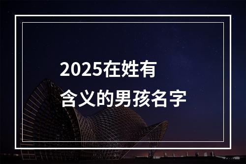 2025在姓有含义的男孩名字