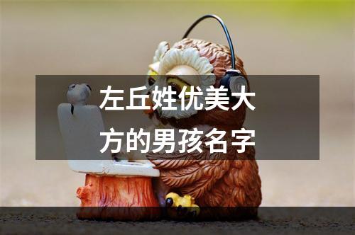 左丘姓优美大方的男孩名字