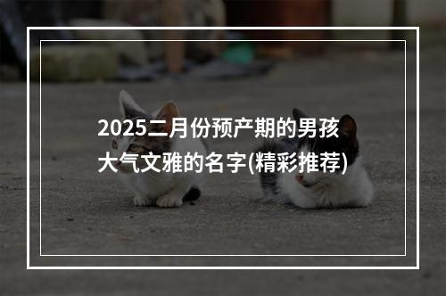 2025二月份预产期的男孩大气文雅的名字(精彩推荐)