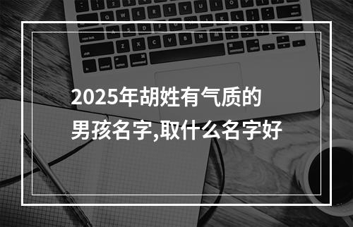 2025年胡姓有气质的男孩名字,取什么名字好