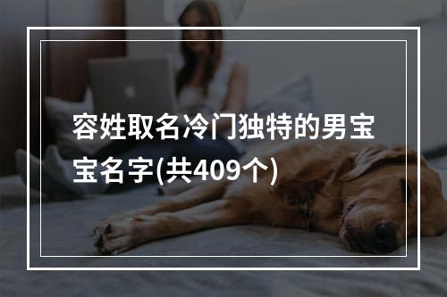 容姓取名冷门独特的男宝宝名字(共409个)