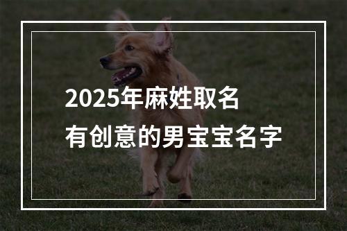 2025年麻姓取名有创意的男宝宝名字