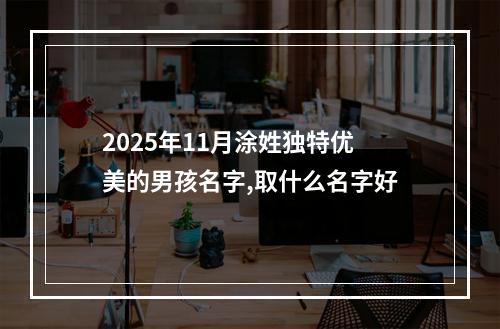 2025年11月涂姓独特优美的男孩名字,取什么名字好