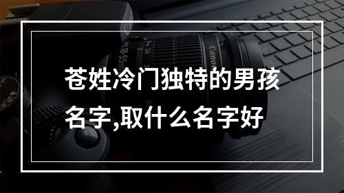 苍姓冷门独特的男孩名字,取什么名字好