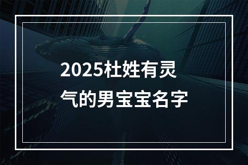 2025杜姓有灵气的男宝宝名字