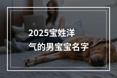 2025宝姓洋气的男宝宝名字