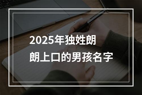 2025年独姓朗朗上口的男孩名字