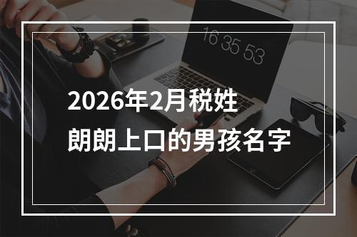 2026年2月税姓朗朗上口的男孩名字