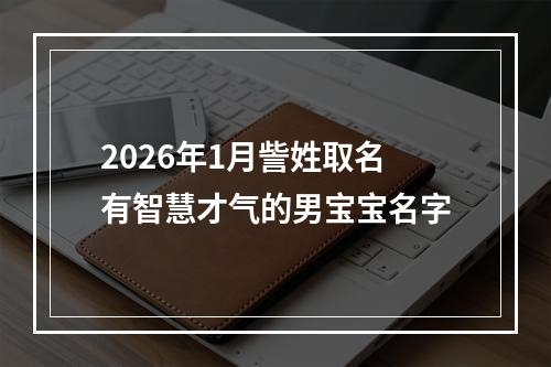 2026年1月訾姓取名有智慧才气的男宝宝名字