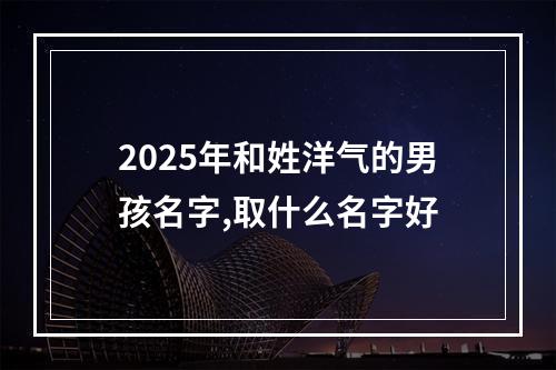 2025年和姓洋气的男孩名字,取什么名字好