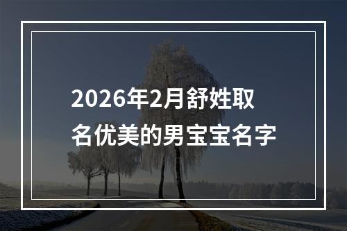 2026年2月舒姓取名优美的男宝宝名字