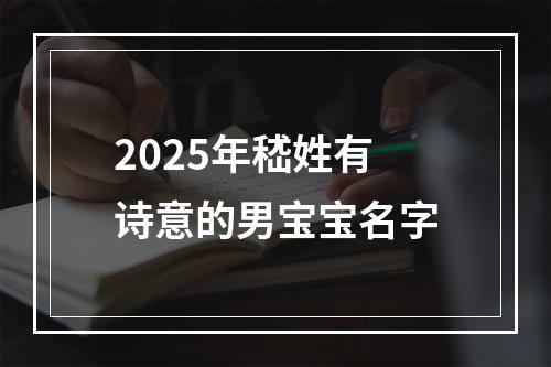 2025年嵇姓有诗意的男宝宝名字